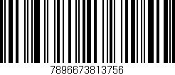 Código de barras (EAN, GTIN, SKU, ISBN): '7896673813756'
