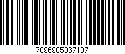 Código de barras (EAN, GTIN, SKU, ISBN): '7896985067137'