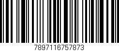 Código de barras (EAN, GTIN, SKU, ISBN): '7897116757873'