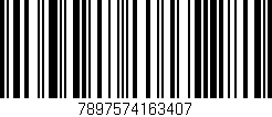 Código de barras (EAN, GTIN, SKU, ISBN): '7897574163407'