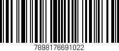 Código de barras (EAN, GTIN, SKU, ISBN): '7898176691022'