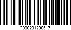 Código de barras (EAN, GTIN, SKU, ISBN): '7898281238617'