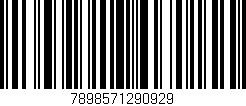 Código de barras (EAN, GTIN, SKU, ISBN): '7898571290929'