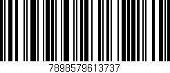 Código de barras (EAN, GTIN, SKU, ISBN): '7898579613737'