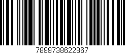 Código de barras (EAN, GTIN, SKU, ISBN): '7899738622867'
