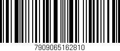 Código de barras (EAN, GTIN, SKU, ISBN): '7909065162810'