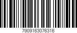 Código de barras (EAN, GTIN, SKU, ISBN): '7909163076316'