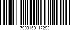Código de barras (EAN, GTIN, SKU, ISBN): '7909163117293'