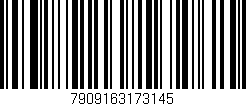 Código de barras (EAN, GTIN, SKU, ISBN): '7909163173145'
