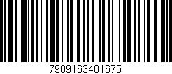 Código de barras (EAN, GTIN, SKU, ISBN): '7909163401675'