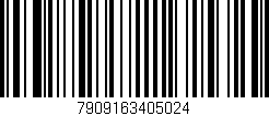Código de barras (EAN, GTIN, SKU, ISBN): '7909163405024'