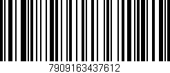 Código de barras (EAN, GTIN, SKU, ISBN): '7909163437612'