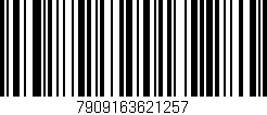 Código de barras (EAN, GTIN, SKU, ISBN): '7909163621257'