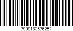 Código de barras (EAN, GTIN, SKU, ISBN): '7909163676257'