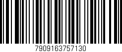 Código de barras (EAN, GTIN, SKU, ISBN): '7909163757130'