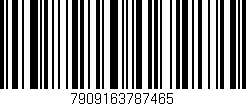 Código de barras (EAN, GTIN, SKU, ISBN): '7909163787465'