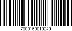 Código de barras (EAN, GTIN, SKU, ISBN): '7909163813249'