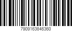 Código de barras (EAN, GTIN, SKU, ISBN): '7909163846360'