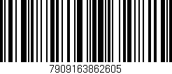 Código de barras (EAN, GTIN, SKU, ISBN): '7909163862605'