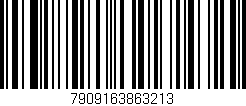 Código de barras (EAN, GTIN, SKU, ISBN): '7909163863213'