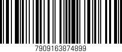 Código de barras (EAN, GTIN, SKU, ISBN): '7909163874899'