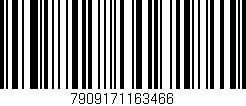 Código de barras (EAN, GTIN, SKU, ISBN): '7909171163466'