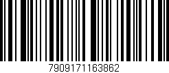 Código de barras (EAN, GTIN, SKU, ISBN): '7909171163862'