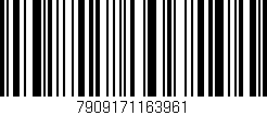 Código de barras (EAN, GTIN, SKU, ISBN): '7909171163961'