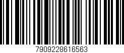 Código de barras (EAN, GTIN, SKU, ISBN): '7909228616563'