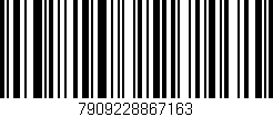 Código de barras (EAN, GTIN, SKU, ISBN): '7909228867163'