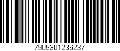 Código de barras (EAN, GTIN, SKU, ISBN): '7909301236237'
