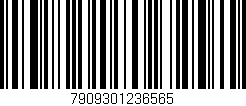 Código de barras (EAN, GTIN, SKU, ISBN): '7909301236565'