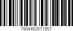 Código de barras (EAN, GTIN, SKU, ISBN): '7909462571857'