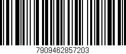 Código de barras (EAN, GTIN, SKU, ISBN): '7909462857203'