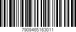 Código de barras (EAN, GTIN, SKU, ISBN): '7909465163011'