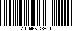 Código de barras (EAN, GTIN, SKU, ISBN): '7909465246509'