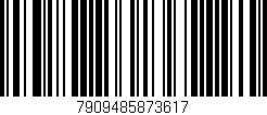 Código de barras (EAN, GTIN, SKU, ISBN): '7909485873617'