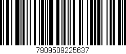 Código de barras (EAN, GTIN, SKU, ISBN): '7909509225637'
