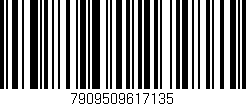 Código de barras (EAN, GTIN, SKU, ISBN): '7909509617135'