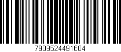 Código de barras (EAN, GTIN, SKU, ISBN): '7909524491604'