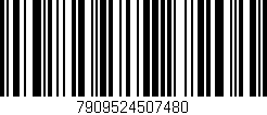 Código de barras (EAN, GTIN, SKU, ISBN): '7909524507480'