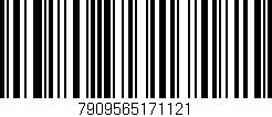 Código de barras (EAN, GTIN, SKU, ISBN): '7909565171121'