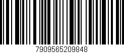 Código de barras (EAN, GTIN, SKU, ISBN): '7909565209848'