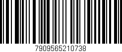 Código de barras (EAN, GTIN, SKU, ISBN): '7909565210738'
