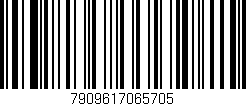 Código de barras (EAN, GTIN, SKU, ISBN): '7909617065705'