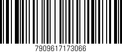 Código de barras (EAN, GTIN, SKU, ISBN): '7909617173066'