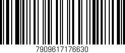 Código de barras (EAN, GTIN, SKU, ISBN): '7909617176630'
