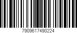 Código de barras (EAN, GTIN, SKU, ISBN): '7909617490224'