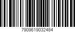 Código de barras (EAN, GTIN, SKU, ISBN): '7909619032484'
