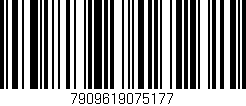 Código de barras (EAN, GTIN, SKU, ISBN): '7909619075177'
